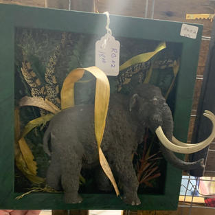 3D Woolly Mammoth