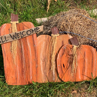 3 Large Pumpkin Grouping (25 x 37)