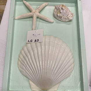 Shell Art - Wall Hanging on Canvas - (8x10)