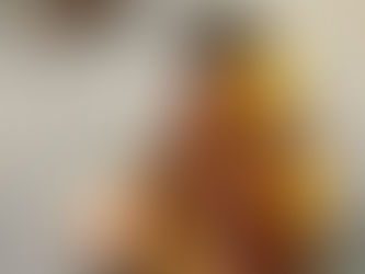 コネルテさんの「鷹匠になろう!」ワークショップの詳細です!