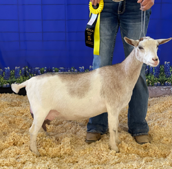 Pretty As You Please FF