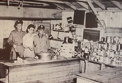 gandercoop history co op flyer gander