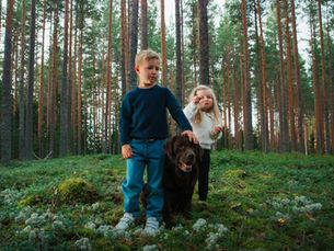 How to take perfect photos of your dog – Tips from a professional dog photographer