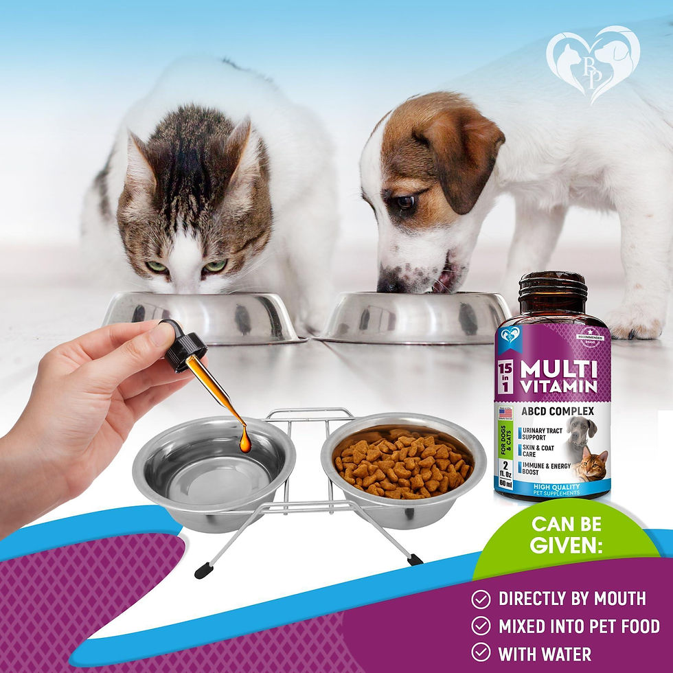 Thumbnail: Cat Dog Multivitamin Liquid with Glucosamine and Cranberry Health Supplements