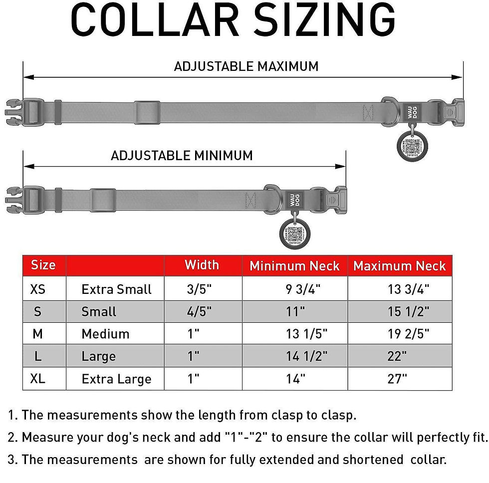Thumbnail: Waterproof Dog Collar Heavy Duty Adjustable for Medium Dogs M Size Glow in Dark