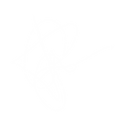 Assinatura