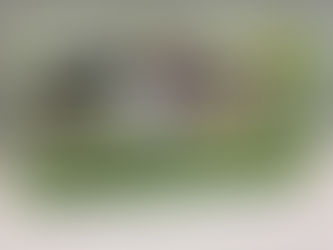 Deep Food Learning Challenge