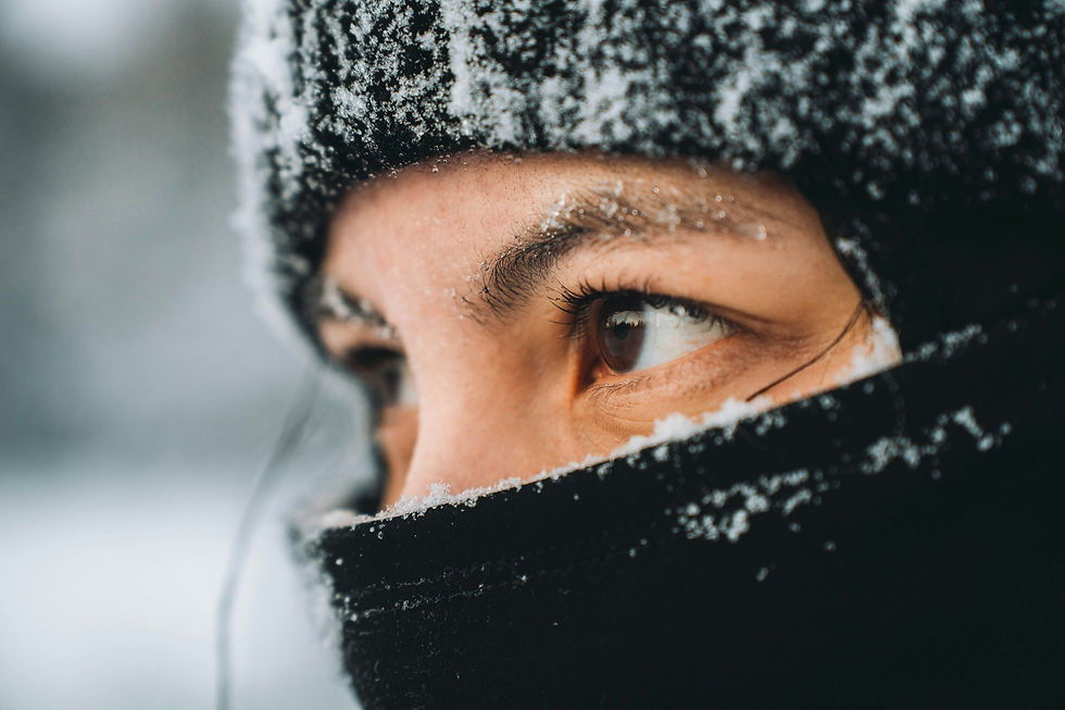 Viagem ao Ártico: como se preparar para o frio extremo