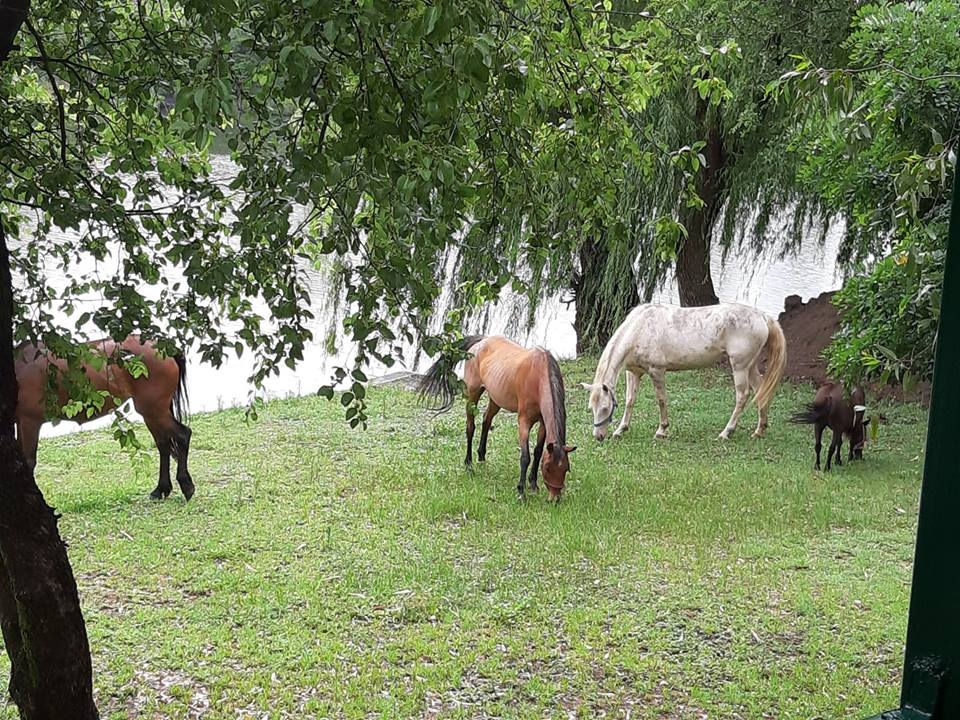 Tunisian Crochet - Lesson 4