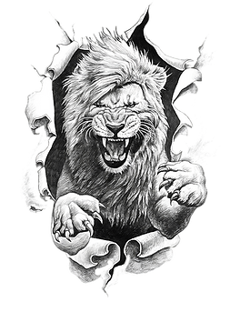 Lion_klipartz.com_(13)-transformed (1) 4,35 MB.png