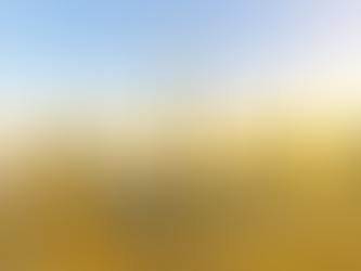 Our new office in Dubai