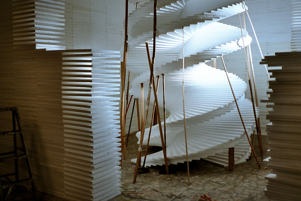 2002 plazma icinde acamayan gul.jpg