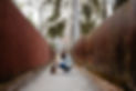 DSC01061.jpg