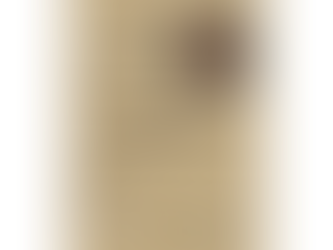 Entrevista com o escritor moçambicano Alex Dau - 2019