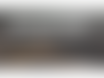 Seminário de Integração Curricular das Ciências Humanas e Sociais I e II - 2019