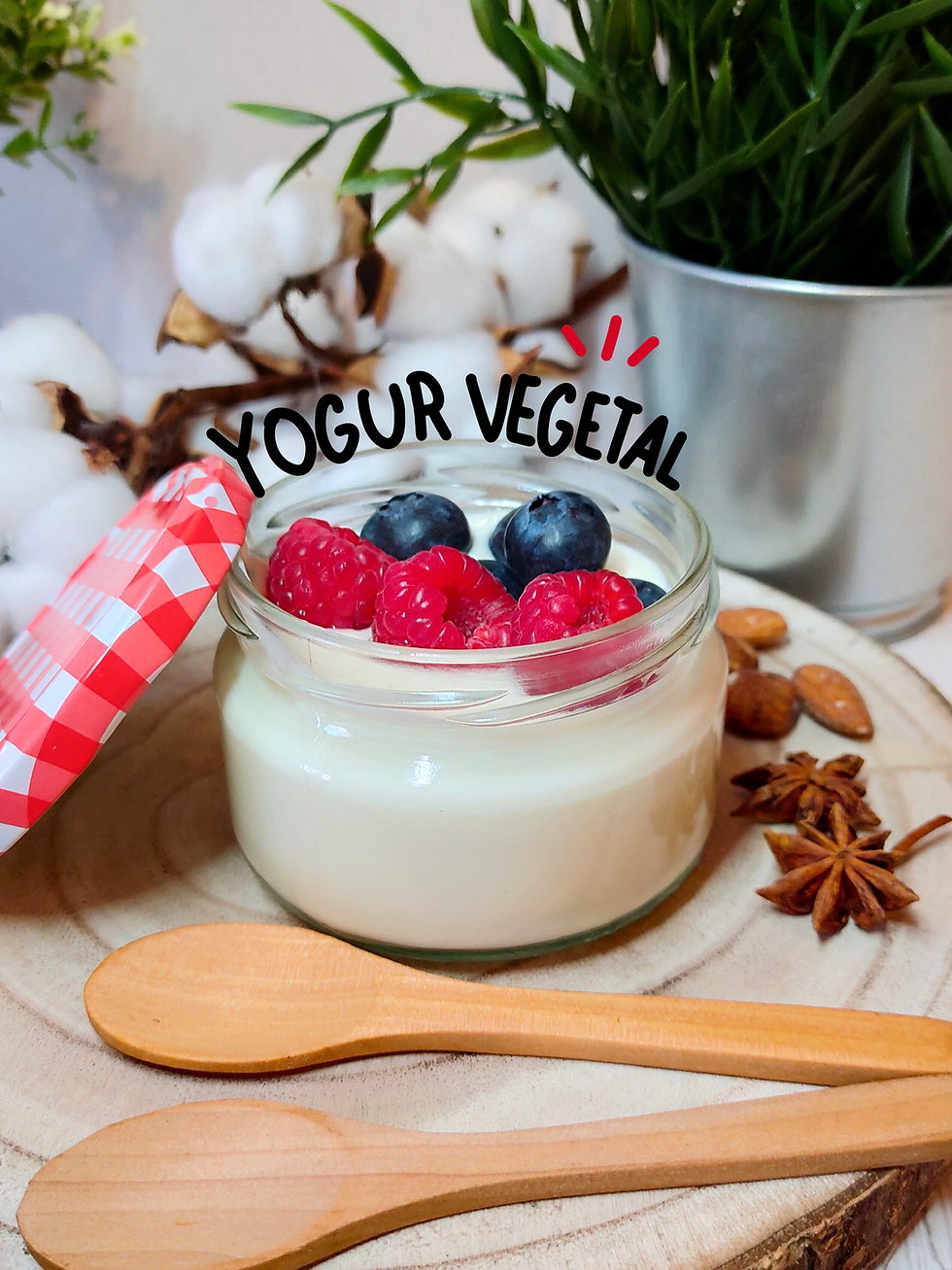 Yogur vegetal