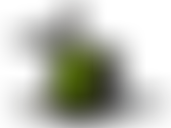 ¿Por qué las transpaletas eléctricas Zoomlion son la opción ganadora para potenciar su empresa?