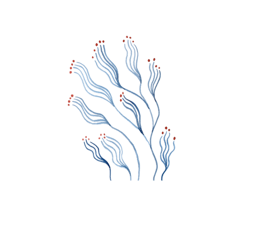 65.png
