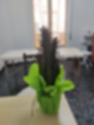 studio.jpg