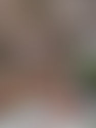 La inmersión sensorial como narrativa - entrevista a Eva Ortemberg