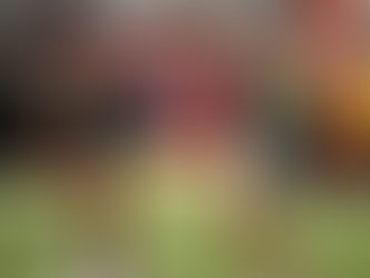 Emmanuel Sanders to Saints