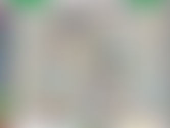 2019 Defense Road map