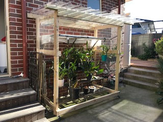 photo for website orchid protection use