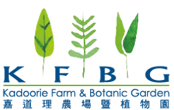 KFBG logo.png
