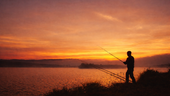 Rather than Buying More Fish, Organizations need to Enable More People to Fish.