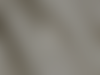 Stylized "TL" logo in white over shadowed gray background. Oval shape surrounds the text, creating an elegant, minimalist design.