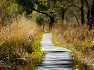 Road to Recovery– 3 Tips: “How Do I Find a Qualified Narcissistic Abuse Specialist for Therapy Near Me?”