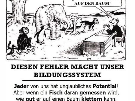 Die Evolutionspädagogik® hilft allen Kindern, die Schwierigkeiten haben in unserem Bildungssystem.