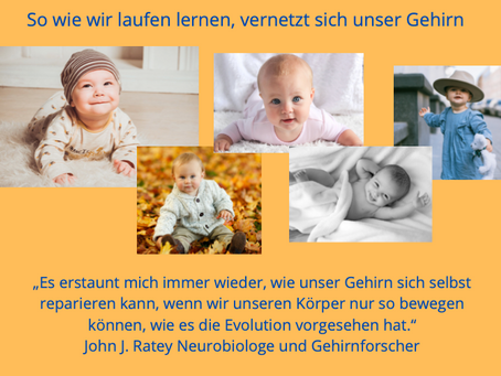 Zitat aus der Gehirnforschung