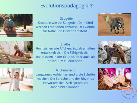 Evolutionspädagogik Stufen 4-6