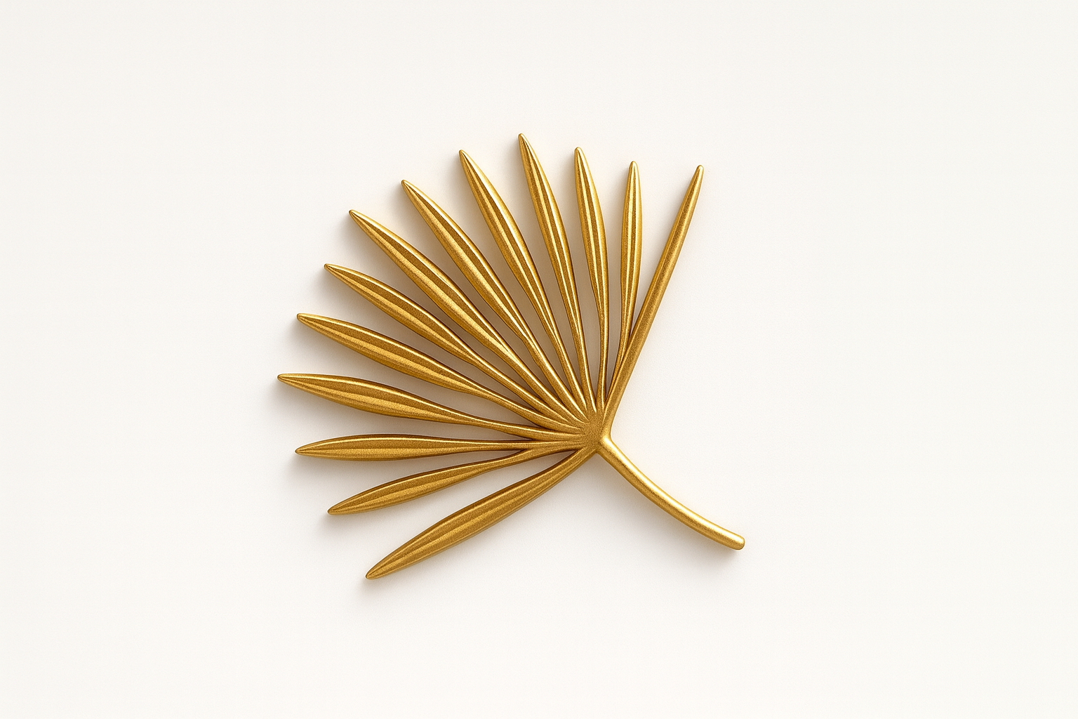 Writer: Chic Speak Boutique