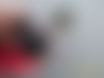 Ｎ－ＷＧＮ　メカキーが無～い！