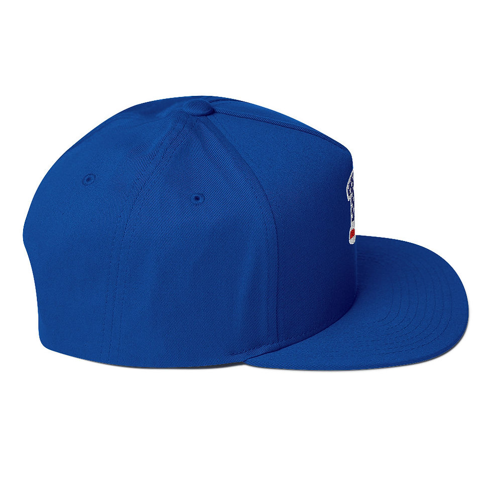 Thumbnail: Flat Bill (Flat Embroidered)