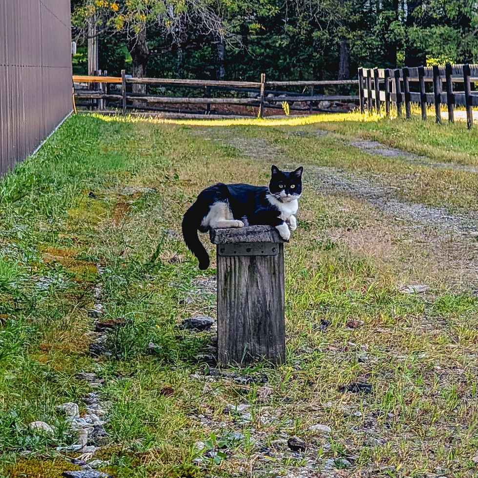 PXL_20250908_204329597~2