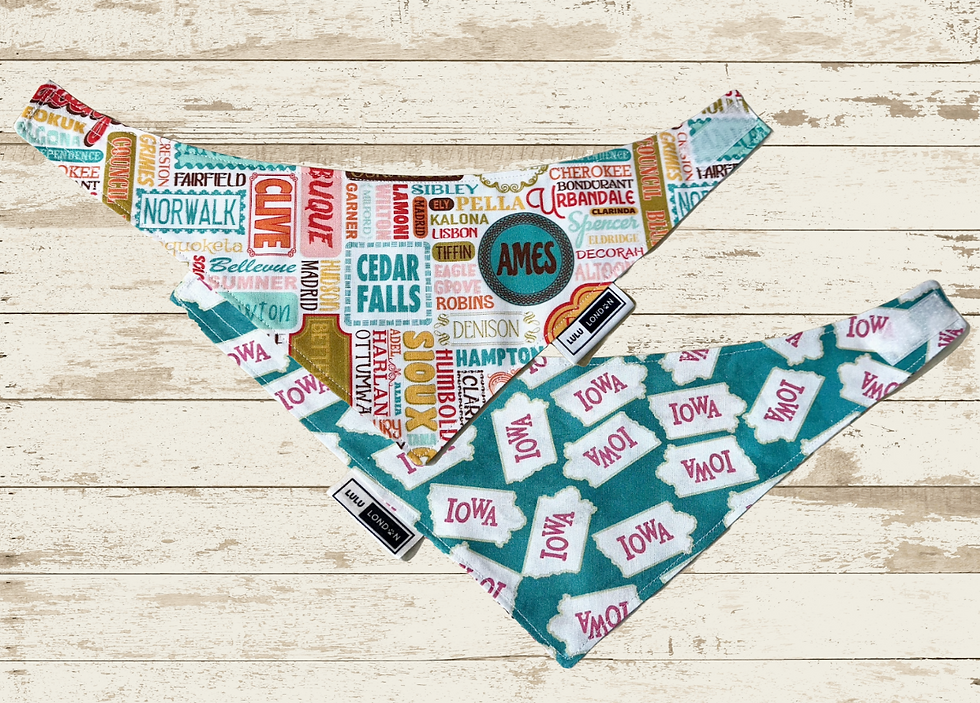 Front and Back view of LuLu London custom Iowa City Limits dog bandana