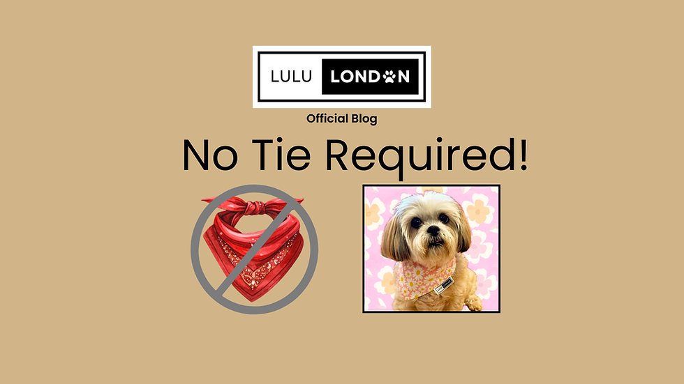 No Tie Required!