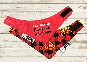Hawk Hairballs cover.png