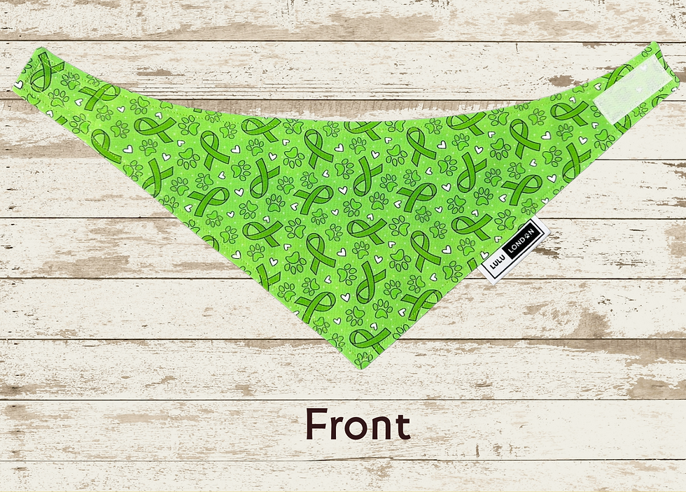 Thumbnail: Front view of LuLu London custom reversible We Walk Together dog bandana