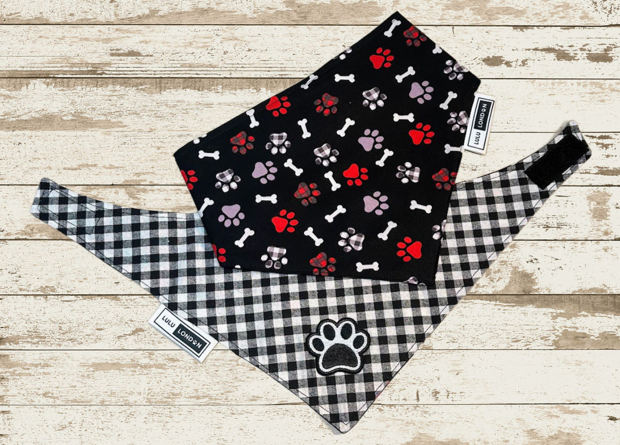 Front and Back view of LuLu London custom My Paw-some Pup dog bandana