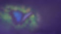 TT Banner #Butterfly.jpg