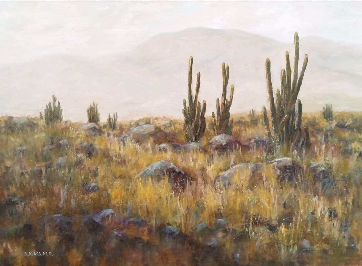 Mery Avaca De O. / obra Desértico