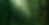 susanne banners website-2.png