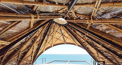 WhatsApp Image 2020-03-28 at 19.06.34.jp