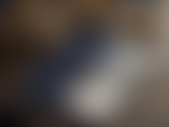 Niche Solutions: Elevating Businesses with 10 Years Expertise