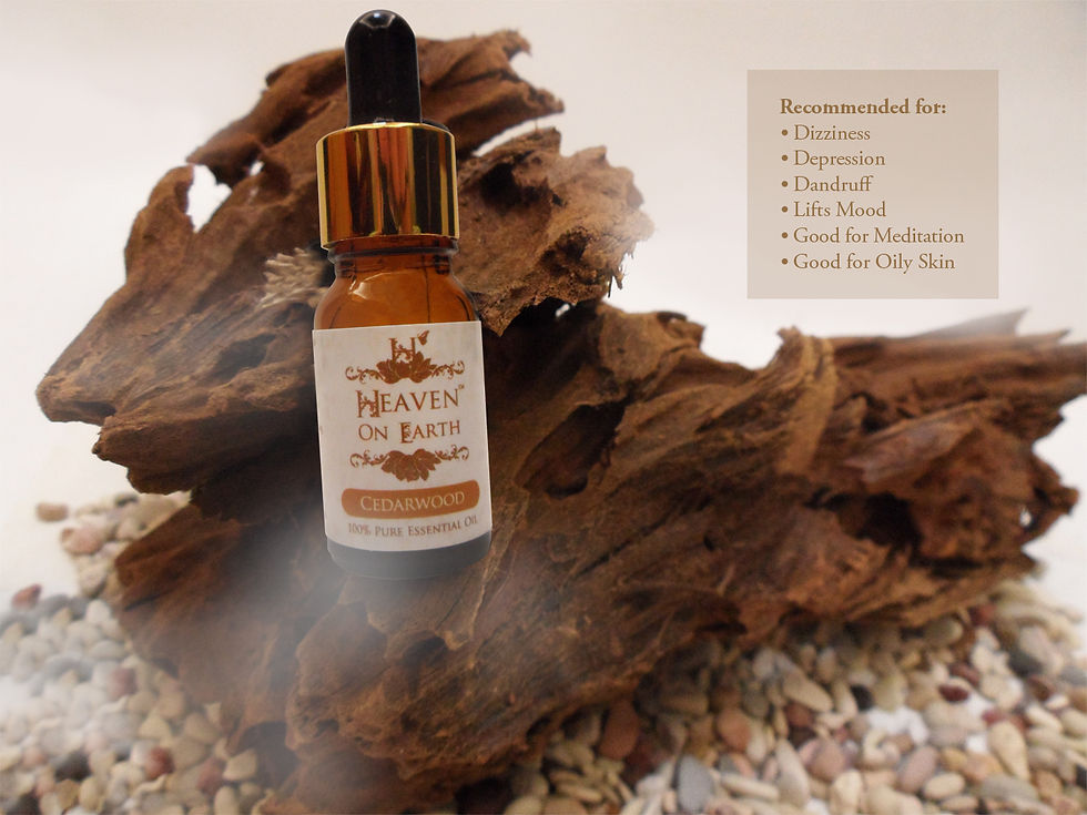 Cedarwood (Cedarus Deodora)