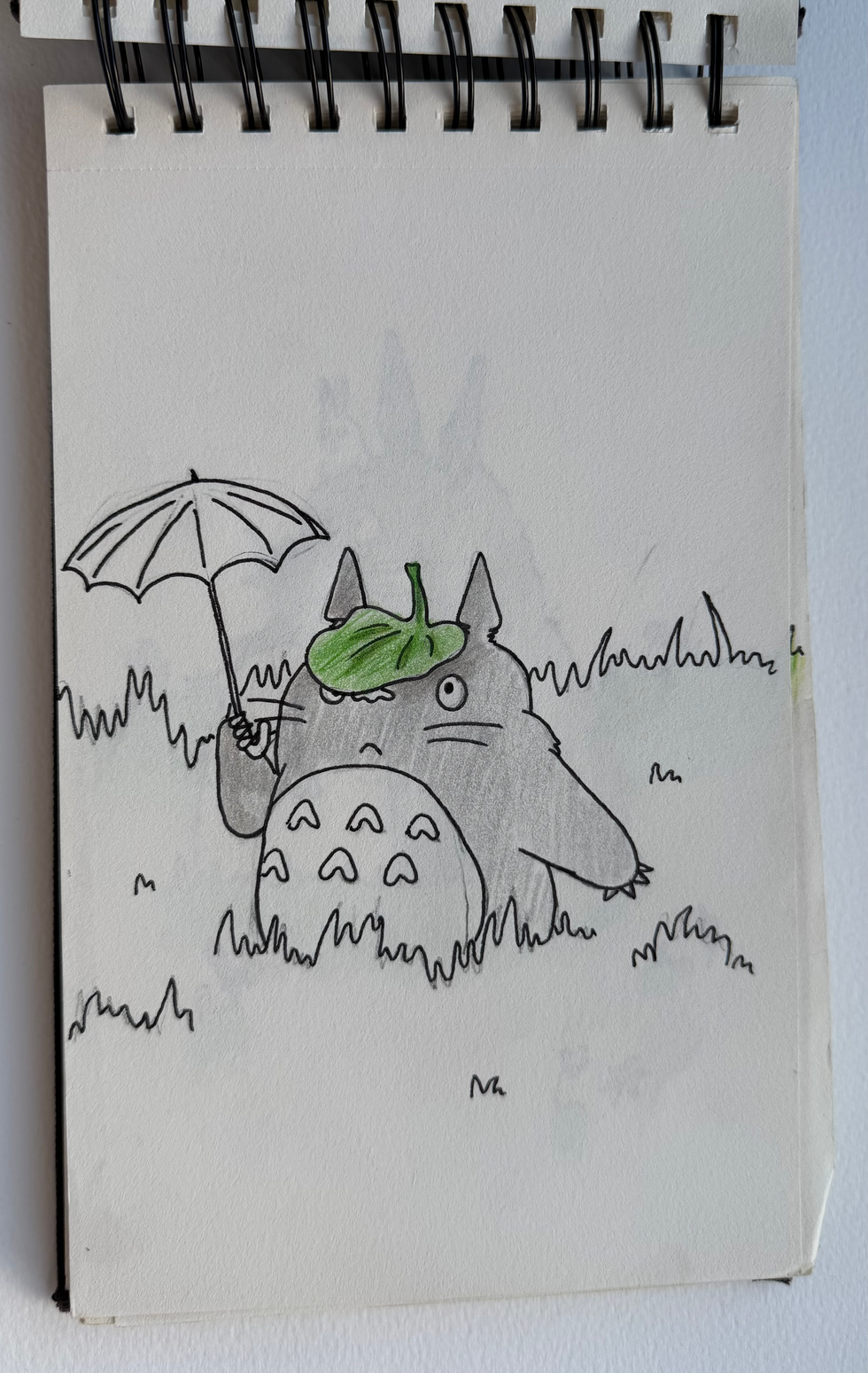 Totoro Drawing 2.heic